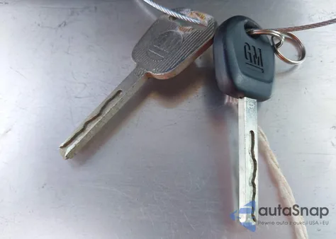 2019 Chevrolet Express 2500 Work Van z USA, uszkodzony, nr VIN 1GCWGAFG3K1309393